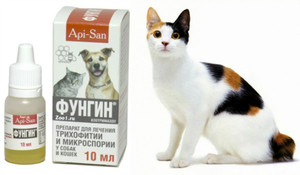 Особенности применения лекарственного препарата Фунгин для кошек и собак