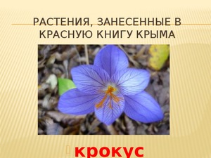Животные, занесенные в Красную книгу Крыма