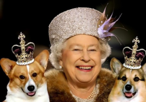 Любимые собаки королевы Елизаветы II
