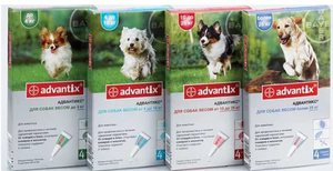 Препараты от клещей Адвантикс для собак