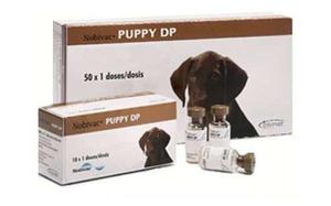 Препарат Нобивак для щенков (Puppy DP)