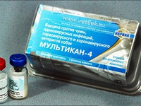 Вакцина для собак МУЛЬТИКАН-4
