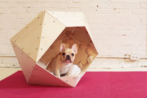 Как построить домик дляя собаки