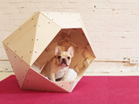 Как построить домик дляя собаки