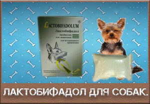 Лактобифадол - ветеринарный препарат