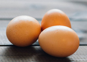 В яйцах много белка, необходимого собакам