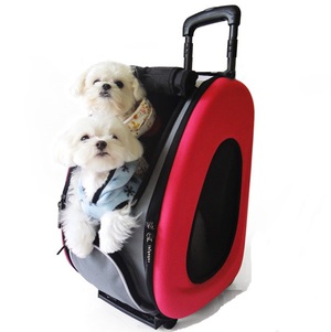 Современные сумки для переноса мелких собак