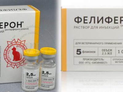 фелиферон для кошек инструкция по применению состав фелиферон для кошек инструкция по применению состав