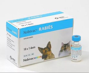 Возможные побочные явления и осложнения при применении вакцины Нобивак