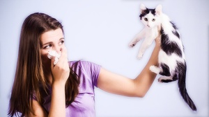 Аллергия причины симптомы 