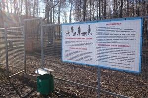 В РФ предусмотрен  штраф за выгул собак в неположенных местах и с нарушениями