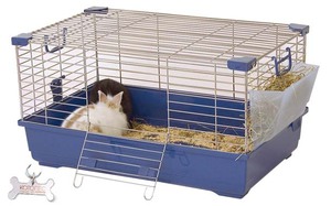 Клетки для декоративных кроликов - содержание зверьков дома