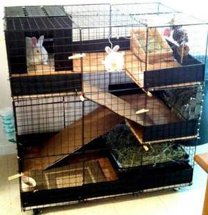 Многоэтажная клетка для кроликов и грызунов - это удобно