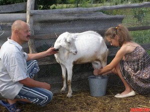 Девушка доит козу