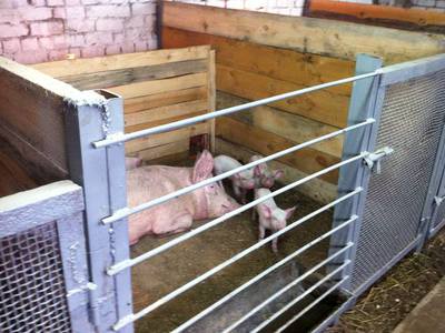 Каким должен быть щелевой пол для свиней, сделанный своими руками - taimyr-expo.ru