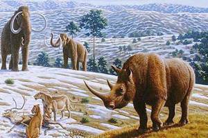 Шерстистый носорог-доисторические животные