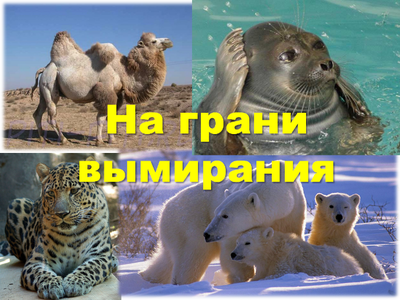 Вымирающие животные картинки