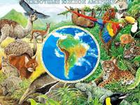 Какие животные живут в Южной Америке