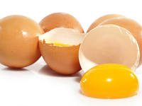 В чем польза куриных яиц