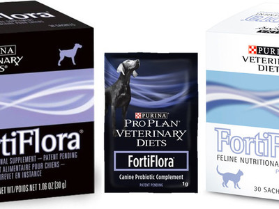 fortiflora для собак инструкция по применению fortiflora для собак инструкция по применению