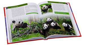 Красная книга - энциклопедия редких и исчезающих животных
