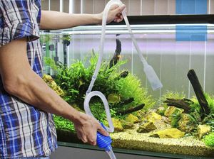 Способы очистки воды в аквариумах от помутнения