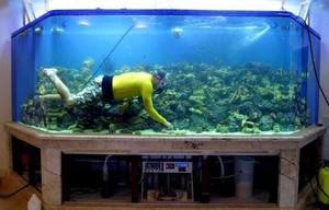 Как правильно чистить аквариум