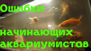 Как надо ухаживать за аквариумом