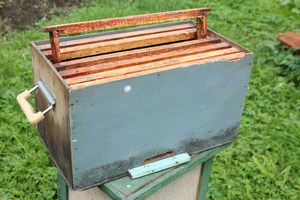 Простые самодельные ловушки для пчел - советы по изготовлению