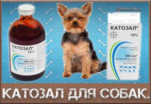 Препарат Катозал для собак
