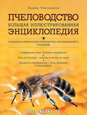 Советы опытных пчеловодов