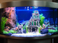 Самый дорогой аквариум для частного интерьера