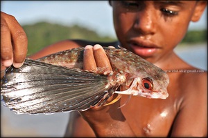 Мальчик и летучая рыба