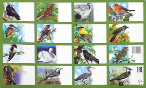 Список птиц на территории России