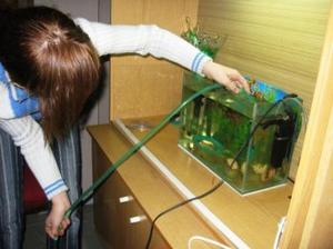 Чем чистить аквариум