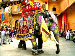 Украшенный индийский слон для торжественных случаев