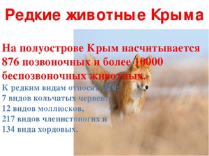 Животные и растения из красной книги  Крыма